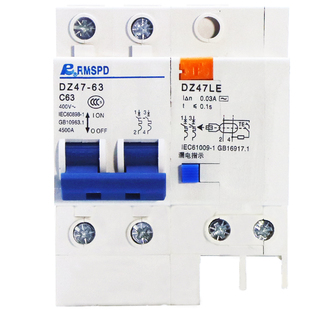 人民漏电保护器出线大孔断路器DZ47LE2P 63A家用总闸漏保空气开关