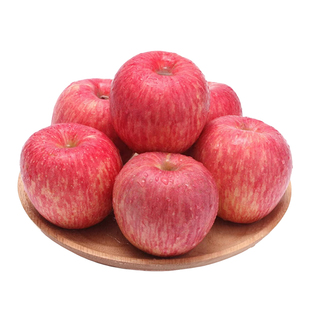 正宗烟台栖霞红富士苹果自家果园特产水果新鲜脆甜冰糖心苹果包邮