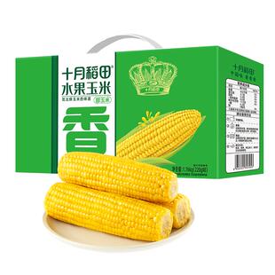 【开袋即食】十月稻田低GI水果甜玉米真空包装鲜甜不腻低脂早餐