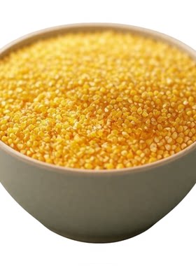 东北玉米糁颗粒饱满香甜软糯杂粮