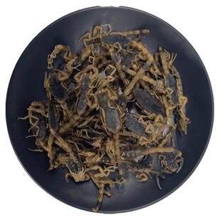 全蝎中药材全蝎干蝎子干清水十足全蝎全虫养殖非野生活泡酒可打粉