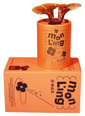 转运灵鲜活灵芝盆栽招财礼盒摆件