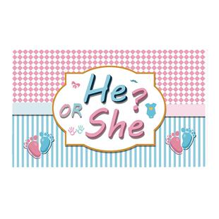 男孩女孩性别揭示派对生日Gender disclosure餐具活动布置用品cup