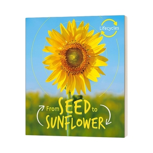 英文原版绘本 Lifecycles Seed to Sunflower 生命周期 从种子到葵花 少儿科普绘本 英文版 进口英语原版书籍