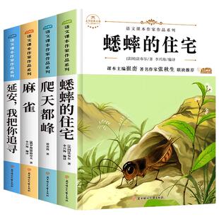 四年级上册课外书必读经典书目全套4册 麻雀延安我把你追寻蟋蟀的住宅爬天都峰人教版语文课本作家作品老师推荐小学生课外阅读书籍