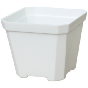 多肉小方盆加厚塑料黑白蓝绿黄粉红色透明幼儿园花盆实验室育苗盆