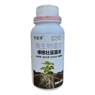 生根壮苗剂扦插生根液养根营养液植物微生物菌剂防死苗抑制根腐病