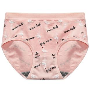 10条小清新款女士内裤女95%棉抗菌中腰透气无痕短裤韩版三角裤头