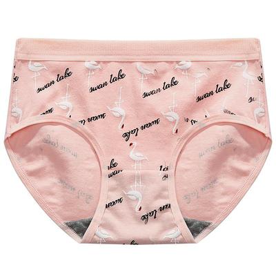 10条95%棉中腰抗菌女士内裤