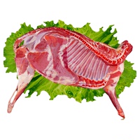 半只羊?qū)幜佋葱迈r羊肉18斤