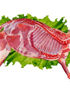 半只羊宁羴源新鲜羊肉10斤