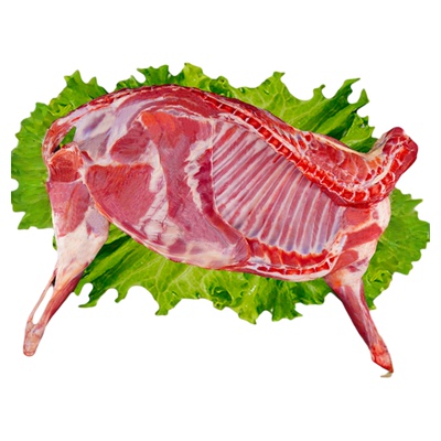 半只羊宁羴源新鲜羊肉18斤