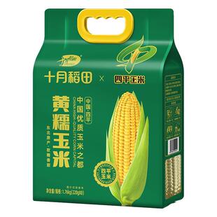 十月稻田黄糯玉米四平玉米低脂饱腹早餐粗粮杂粮