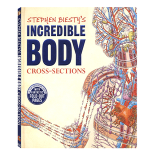 DK Stephen Biesty's Incredible Body Cross sections 不可思议的大剖面 人体的秘密 百科科普绘本读物 英文原版进口儿童图书