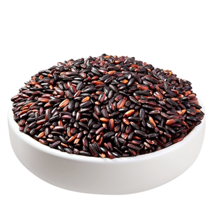 正宗东北黑龙江血糯米2025年农家新米官方旗舰店醪糟包粽子专用