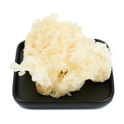 玲珑岭古田新鲜绣球菌营养丰富