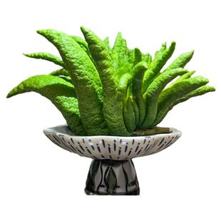 佛手柑托盘器皿养花观赏花盆摆件香橼花器摆放盘容器中式复古花瓶