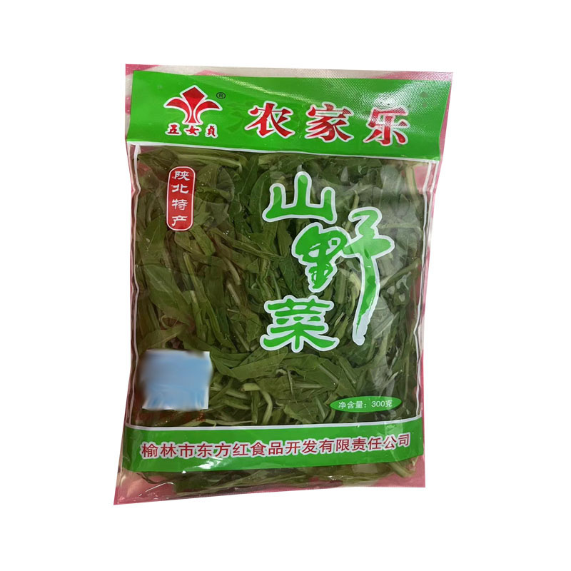 西北农家特色苦苦菜沙葱曲曲菜苦麻子苦苣菜取麻菜山野菜凉拌家用