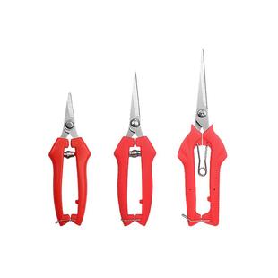 摘果剪采摘花椒剪子修花枝摘果神器修剪葡萄水果专用蔬果剪刀工具