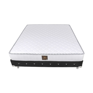 厦门老字号金鹭宝床垫零胶水3E环保椰棕偏硬精钢弹簧席梦思加硬