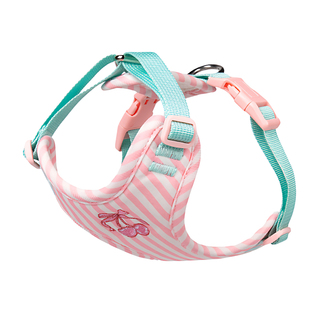 2025新款中小型犬狗狗工字型胸背带猫咪宠物泰迪专用牵引绳高颜值