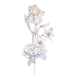 Ellabebe嗳乐蓓贝小云朵婴童面霜50g保湿舒缓法国三色花限定礼盒