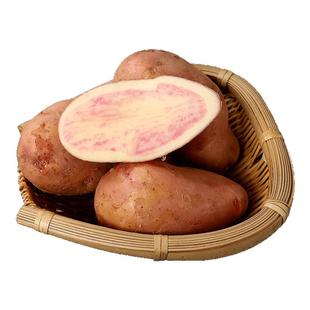 云南新鲜七彩土豆沙面土豆洋芋红心红皮土豆9斤包邮现发农家蔬菜