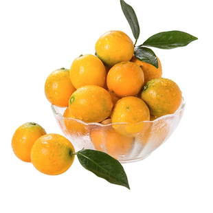 正宗脆蜜金柑第三代融安金桔独立包装现摘发广西特产新鲜水果礼盒