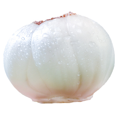 佰城小镇坏果包赔鲜百合买一送一