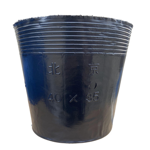 盆栽有机生姜营养杯种姜基质袋营养钵种植桶避免土传水传病害