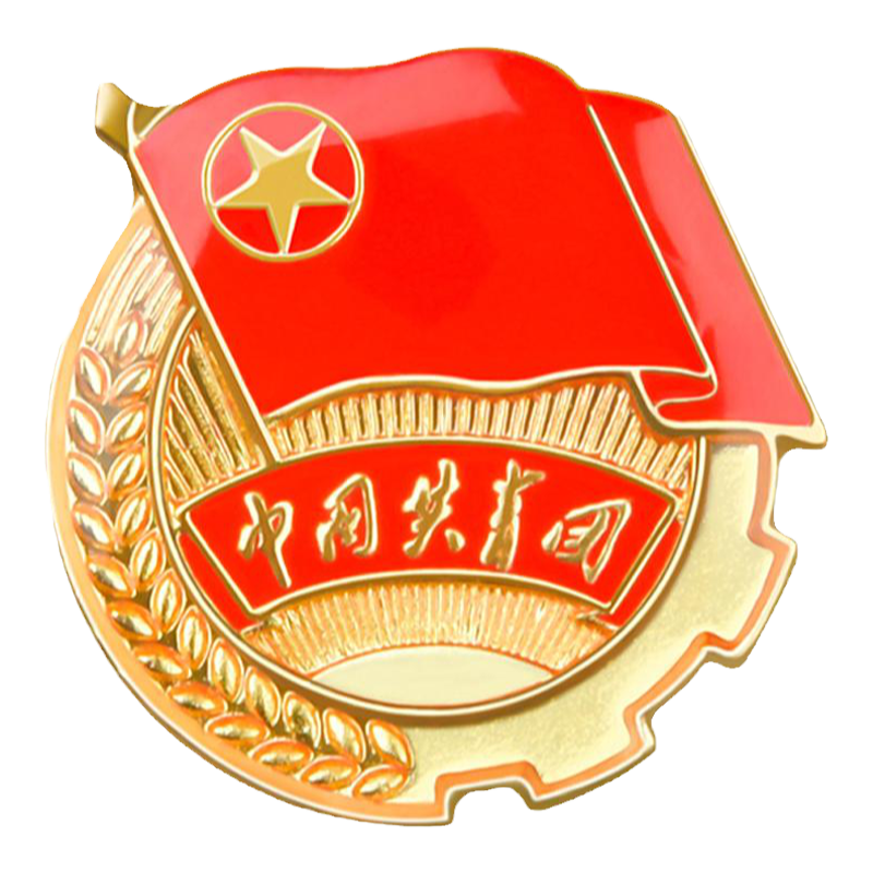 标准型团徽磁铁2025正版中国共青团胸针学生学校用青年强磁扣团员证入团胸章徽章盒装别针大团徽批发