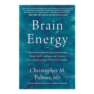 Brain Energy 大脑能量 理解心理健康的革命性突破 改善焦虑 抑郁 强迫症 PTSD等的治疗 精装 Christopher M. Palmer 英文原版