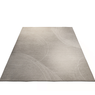 入户门地垫门垫进门地毯客厅玄关大门口室外入门防滑家用入户脚垫