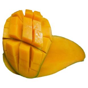 芒果树苗金煌芒果甜果带土带叶地栽盆栽苗东莞发货15年淘宝老店