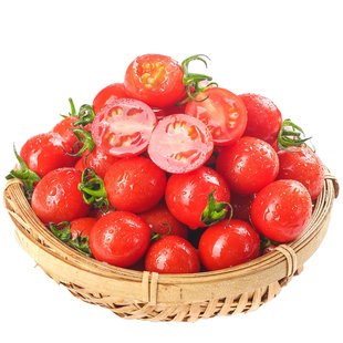 现摘小番茄新鲜圣女果酸甜生吃水果当季蔬菜柿子千禧蔬菜自然熟
