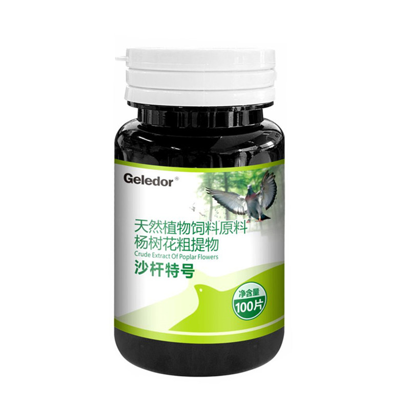 格莱德沙杆特号赛鸽种鸽子肠道