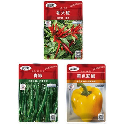 阳台蔬菜朝天椒青椒辣椒四季彩椒