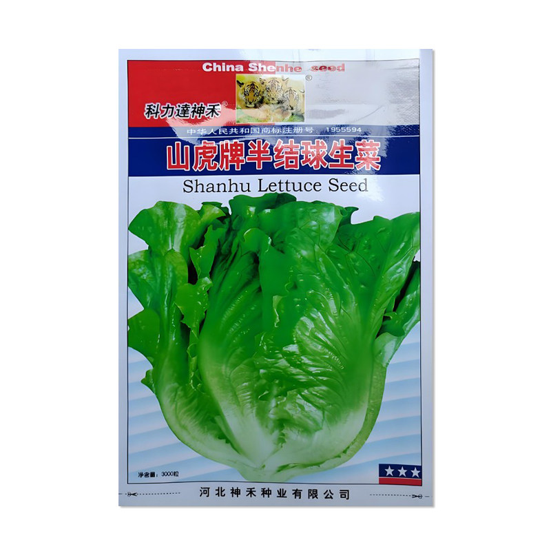 山虎牌半结球生菜种子耐寒耐热