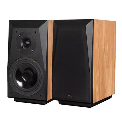 天逸童笛C6发烧人声HIFI音箱