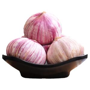 正宗紫皮独头蒜5斤新鲜红皮大蒜
