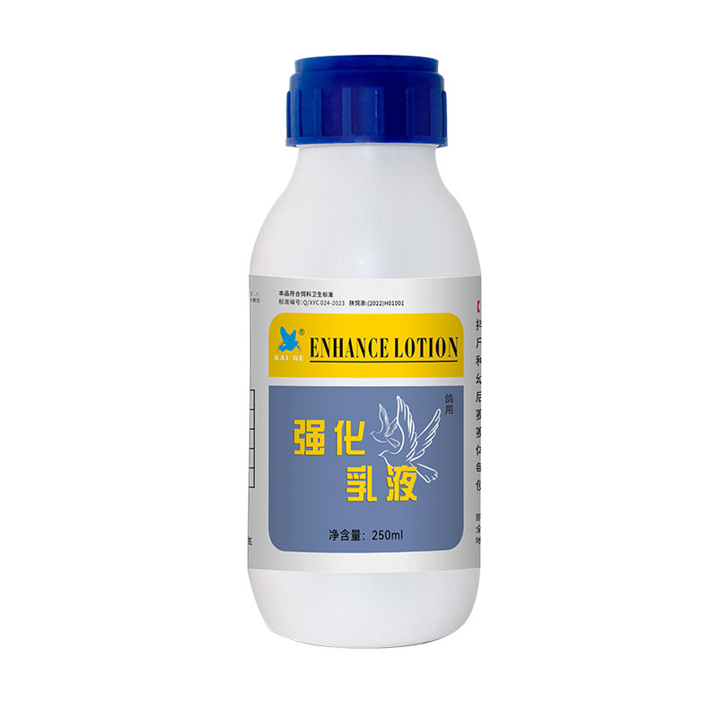 凯鸽强化乳液育种补多维