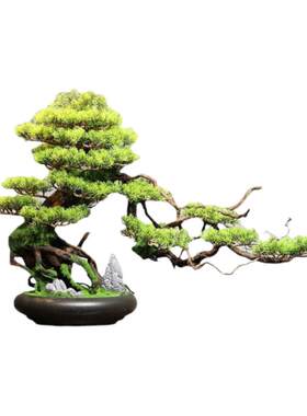 新中式迎客松摆件盆景实木玄关