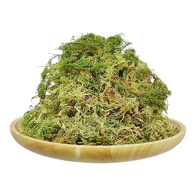 蝴蝶兰专用水苔苔藓青苔疏松透气