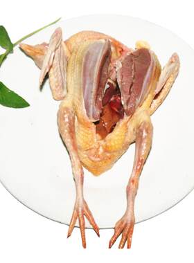 优品璞沅农场放养乳鸽肉4只装