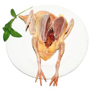 4只鸽子肉生鲜乳鸽新鲜活体现杀冷冻 散养土鸽子原粮乳鸽顺丰包邮