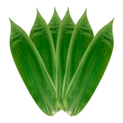 新鲜粽子叶端午节新叶