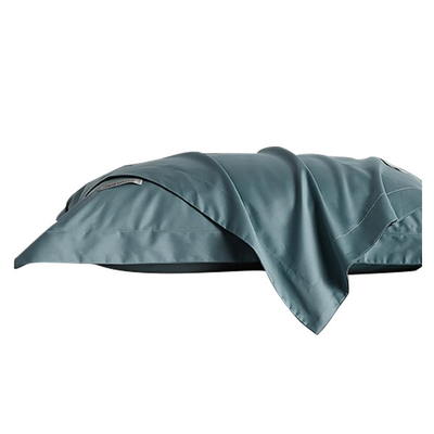 全棉长绒棉枕套一对装春秋