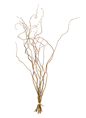 龙柳干花树枝侘寂风装饰干支插花