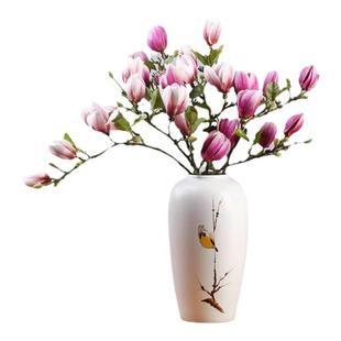 水培花卉白玉兰植物耐寒新房推荐卧室内四季庭院遇水开花水养办公