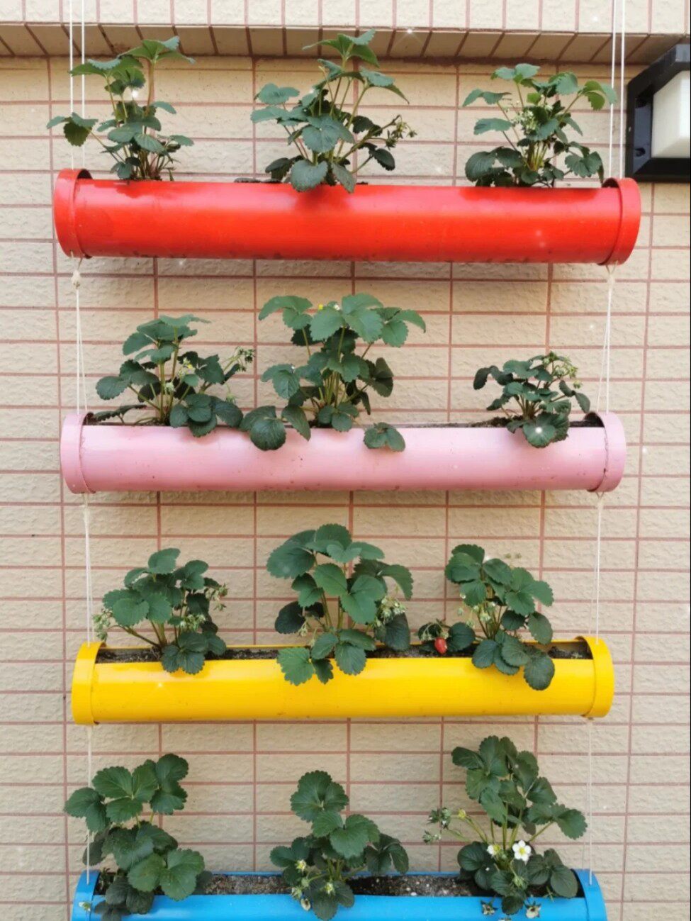 pvc管道花架 创意水管花盆室内阳台种菜机水土栽培养鱼养花绿萝i.